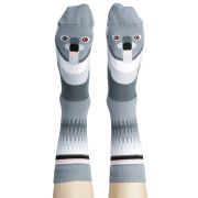 Wilson Payne | Socks | Koala
